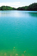 Pink Lake