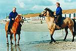 ruirtexel