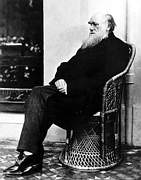 Naturforscher Darwin: Umstrittene Lehre charles-darwin-2