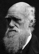 Charles Darwin: Evolutionstheorie spaltet die USA
