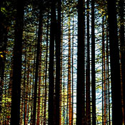 garmisch-2